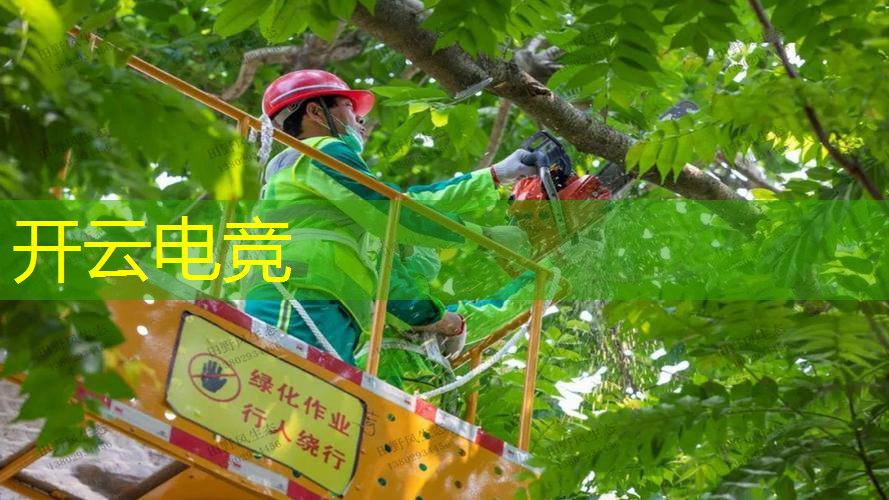 kaiyun·电竞：抖音游戏原画大佬叫什么