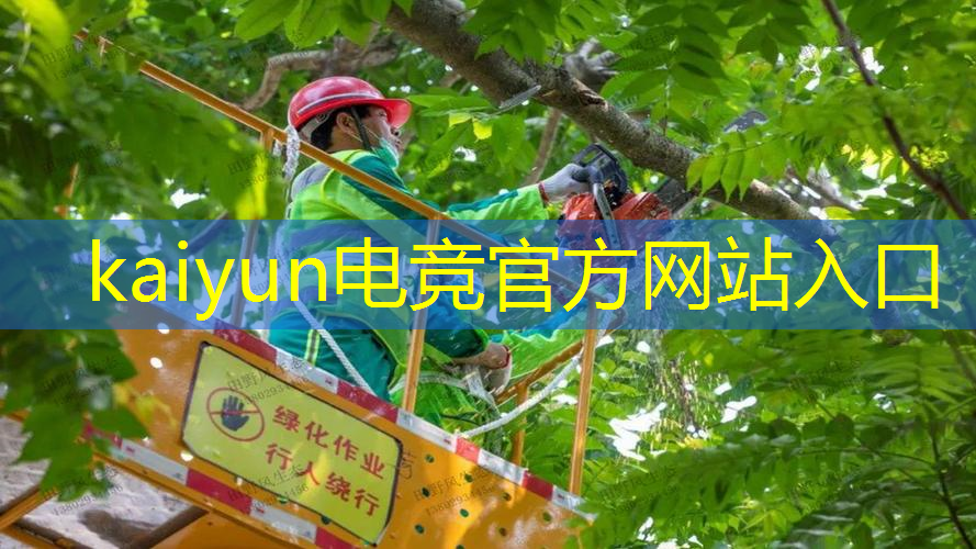 kaiyun电竞平台：三国武将养成游戏推荐3d