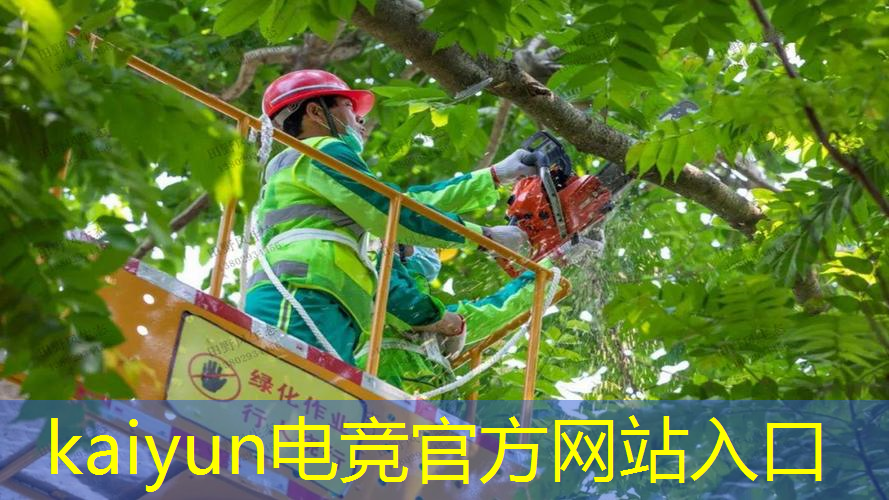 kaiyun电竞平台：王者3d游戏解说大全最新