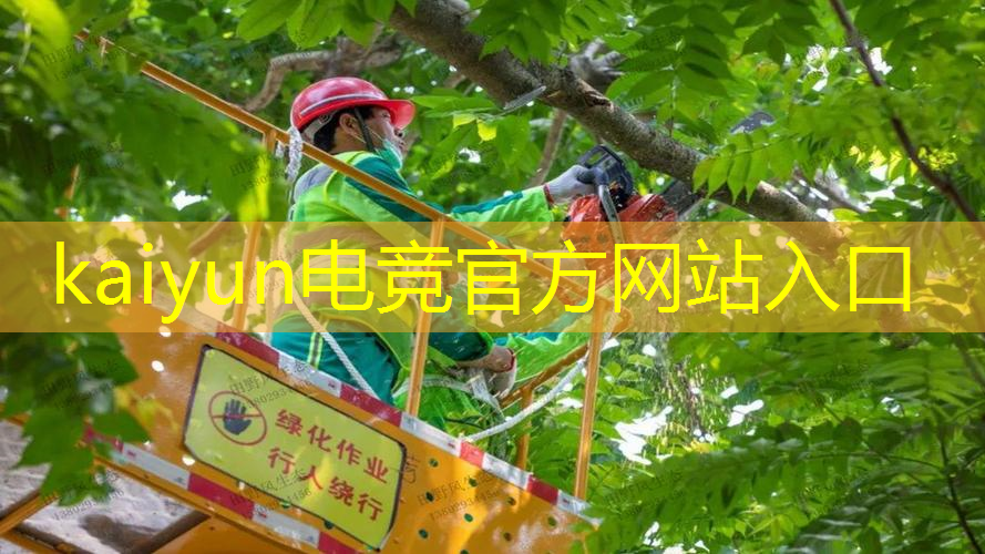 3d驾驶游戏的老现代怎么解锁