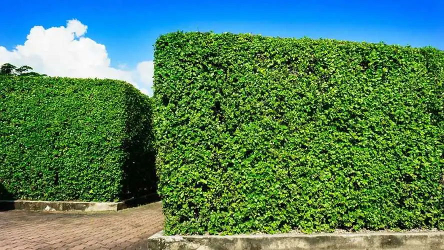 开云电竞：游戏原画立绘关键词推荐