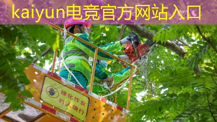 kaiyun电竞平台：游戏原画职业技能怎么写