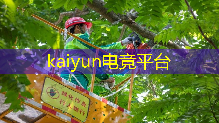3d驾驶游戏的老现代怎么解锁
