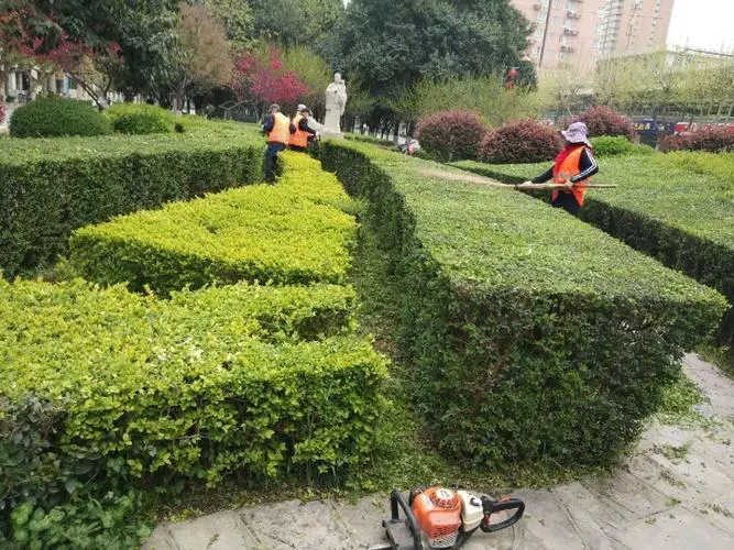 郑州游戏原画的培训班有哪些