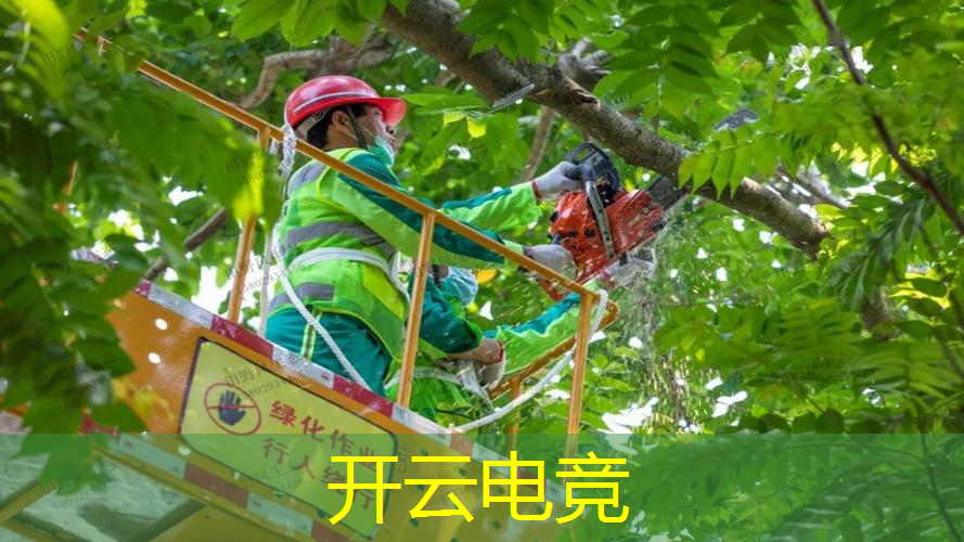 电竞纪实：全方位解读中国青年电竞大赛的激烈战斗！