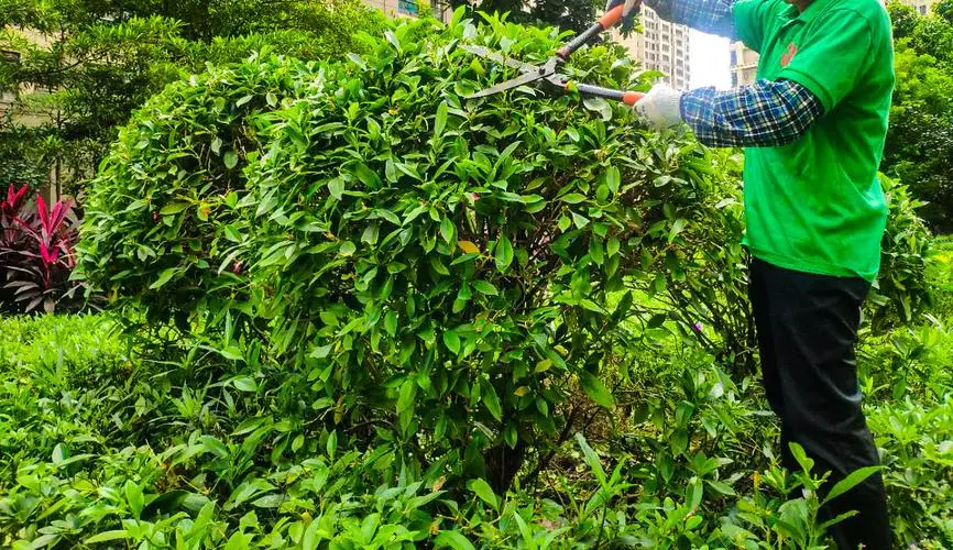游戏原画皮甲怎么做的