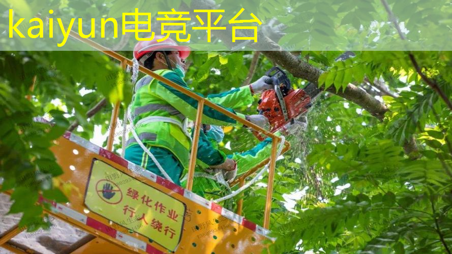 游戏原画职业技能怎么写